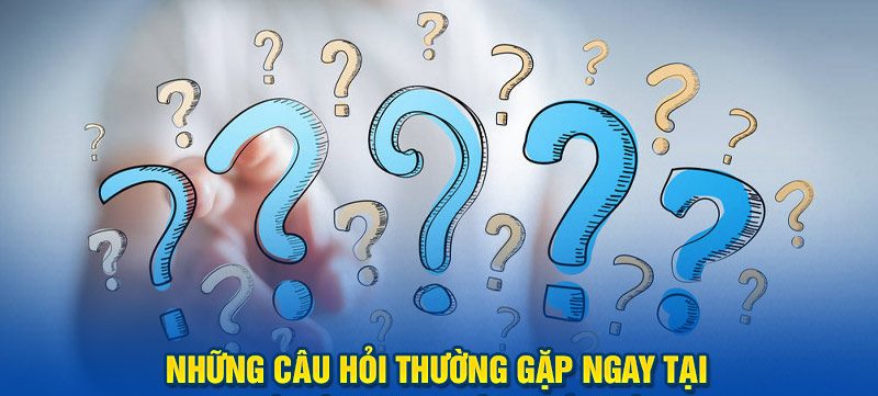 Giải đáp thắc mắc về phí giao dịch cho người mới